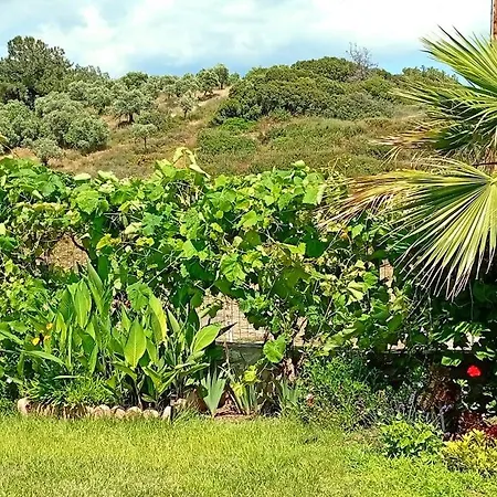 Sea Breeze 1 Apartment Limenaria (Thasos)